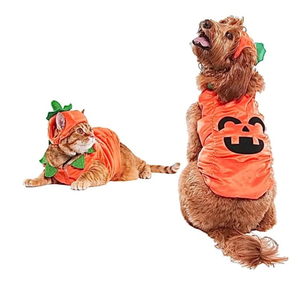 PET JACK-O’-LANTERN COSTUME NWT